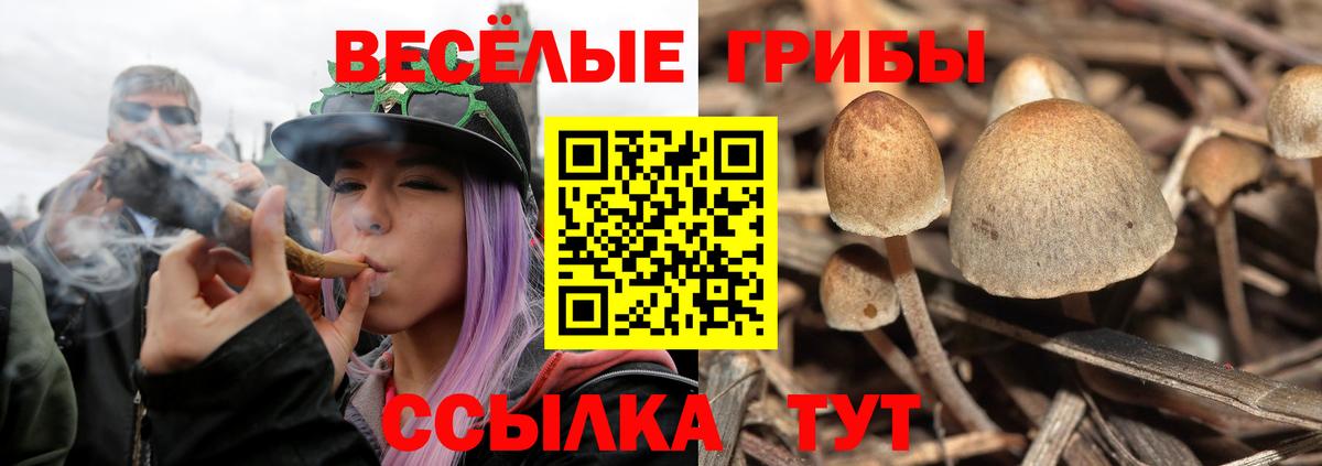 Псилоцибиновые грибы Psilocybe  купить наркотики цена  Нижний Тагил  Вход с VPN 
